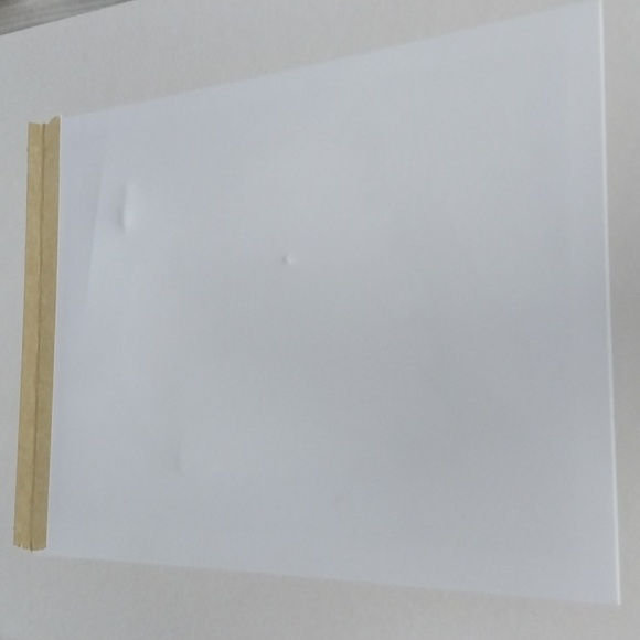 Bald Eagle print - Picture 15 of 15